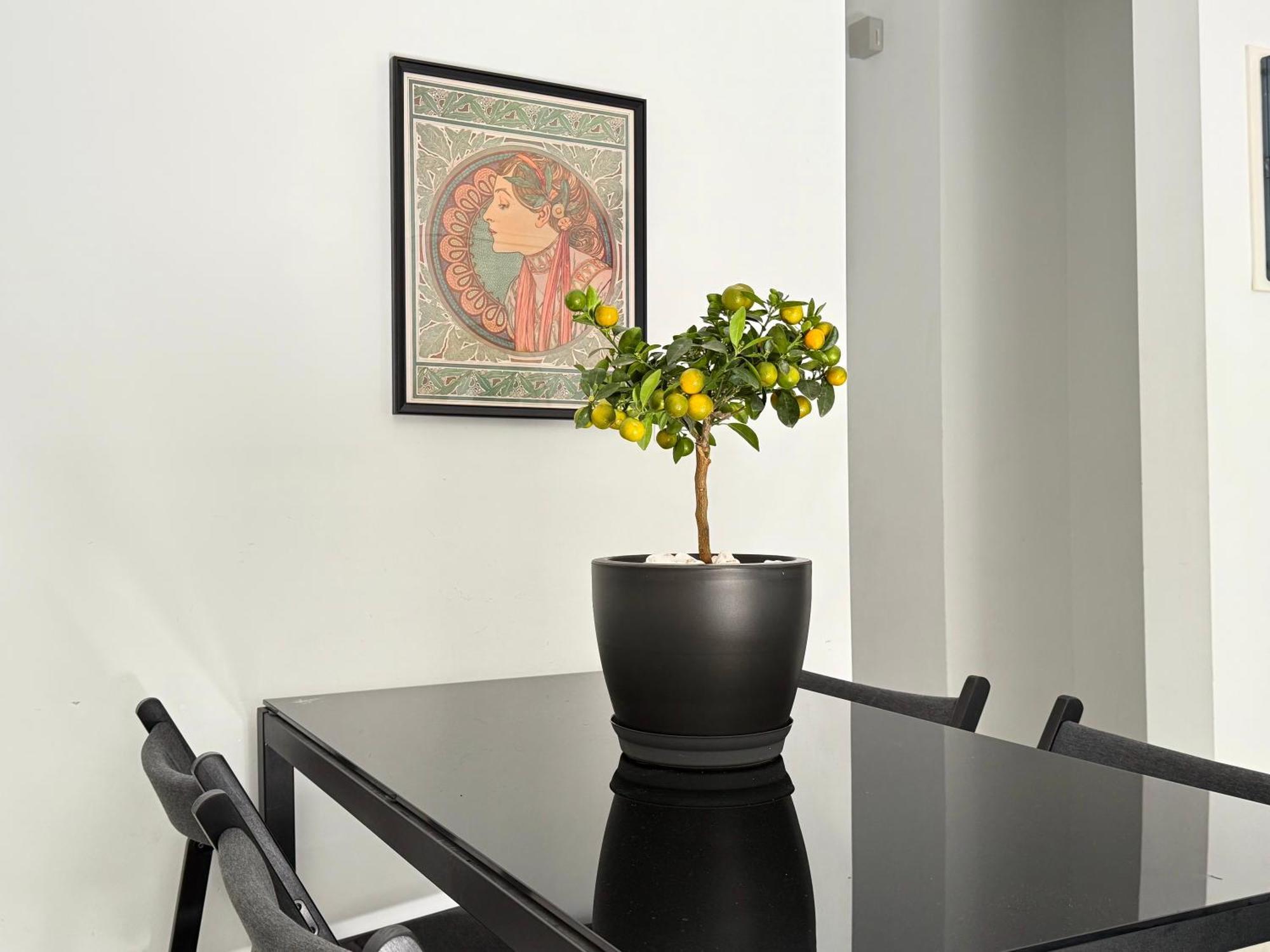 P&P Boutique Apartments Athene Buitenkant foto